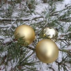 Foto: CMT Cottbus, Lizenz: CMT Cottbus