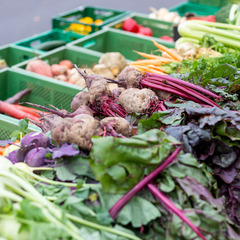 Foto: Andreas Franke, Lizenz: CMT Cottbus