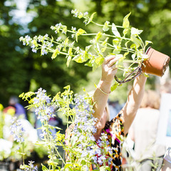 Foto: Florian Br&ouml;cker, Lizenz: Florian Br&ouml;cker