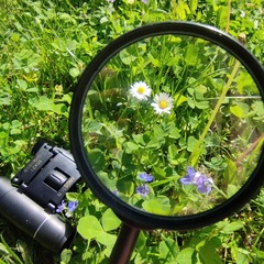 Foto: SFPM, Lizenz: SFPM