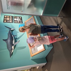 Foto: Robert B&uuml;schel, Lizenz: Robert B&uuml;schel