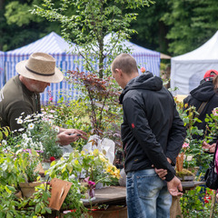 Foto: Thomas Goethe, Lizenz: SFPM